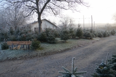 DSC04825