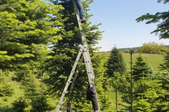 IMG-20200524-WA0010