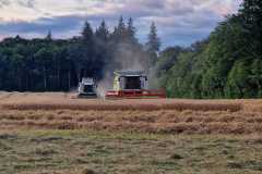 IMG-20240724-WA0016